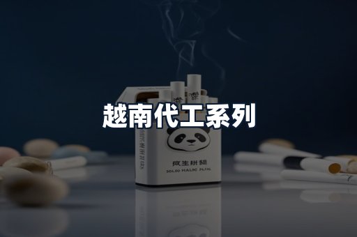 越南代工系列